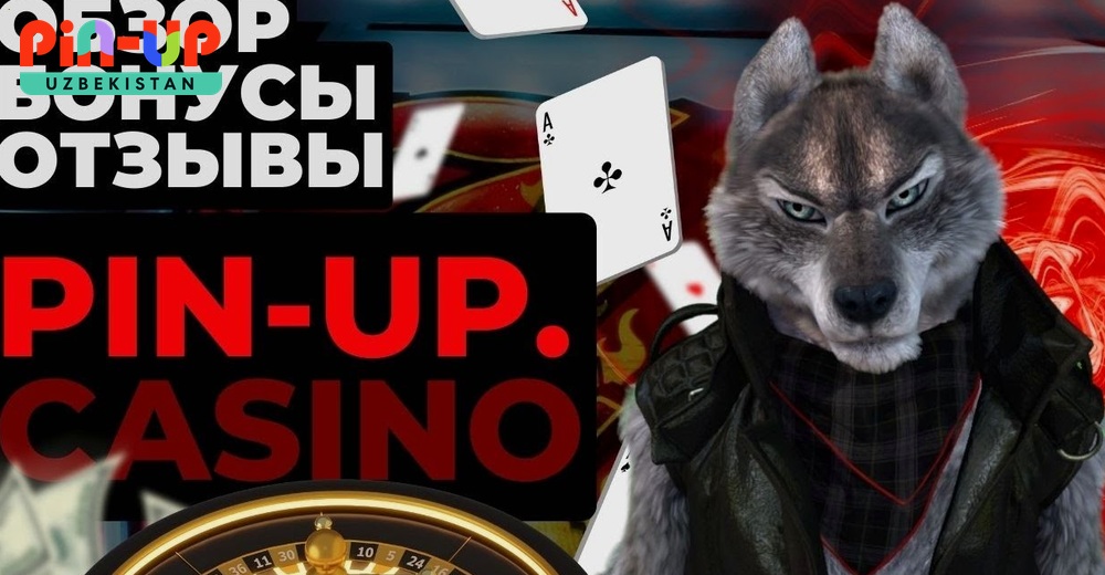 PIN UP to‘lov usullari — UZcard, HUMO, kripto